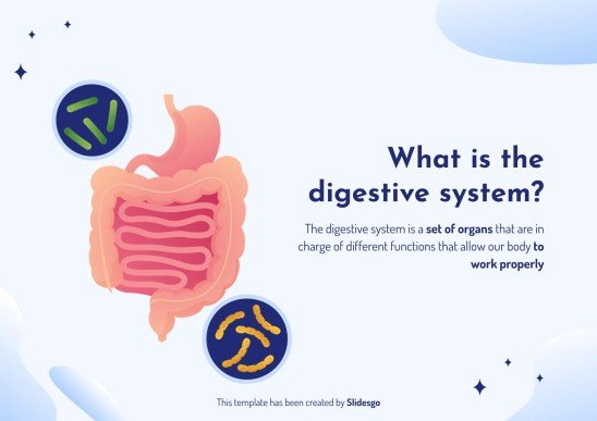 The Digestive System presentation template 