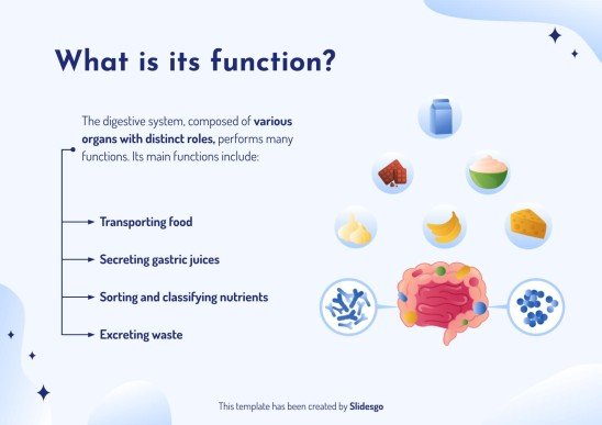 The Digestive System presentation template 