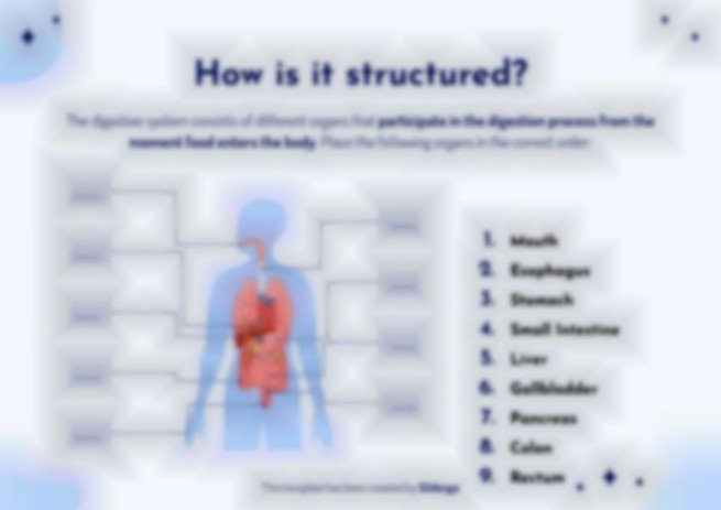 The Digestive System presentation template 