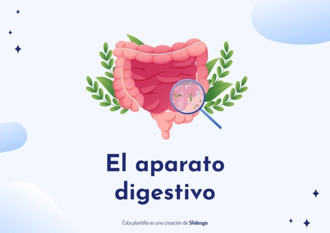 Plantilla de presentación El aparato digestivo