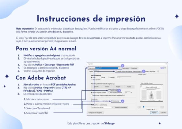 Plantilla de presentación El aparato digestivo