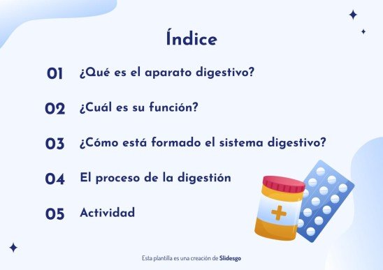 Plantilla de presentación El aparato digestivo