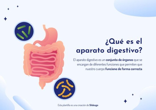 Plantilla de presentación El aparato digestivo