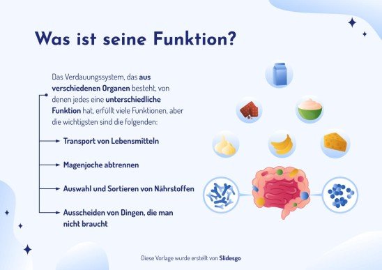 Das Verdauungssystem Präsentationsvorlage