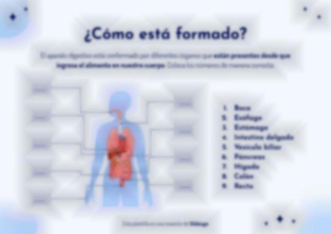 Plantilla de presentación El aparato digestivo