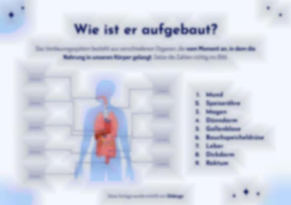 Das Verdauungssystem Präsentationsvorlage