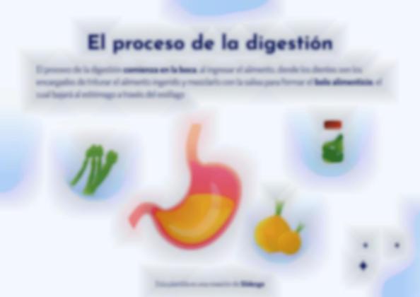 Plantilla de presentación El aparato digestivo