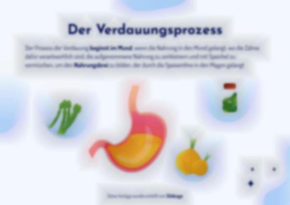 Das Verdauungssystem Präsentationsvorlage