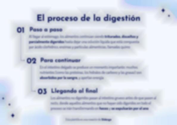 Plantilla de presentación El aparato digestivo