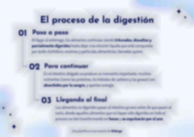 Plantilla de presentación El aparato digestivo