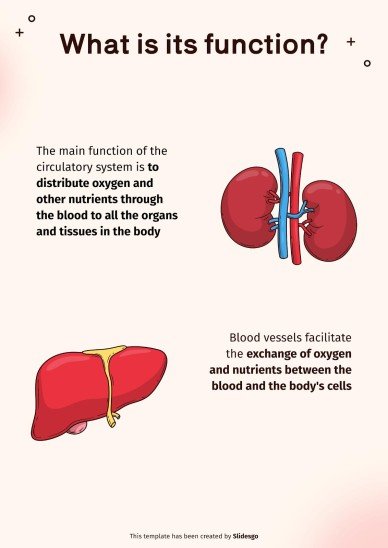 순환계 프레젠테이션 템플릿