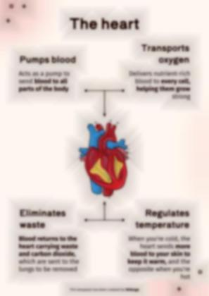 순환계 프레젠테이션 템플릿