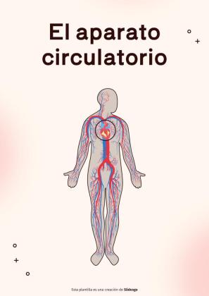 Plantilla de presentación El sistema circulatorio