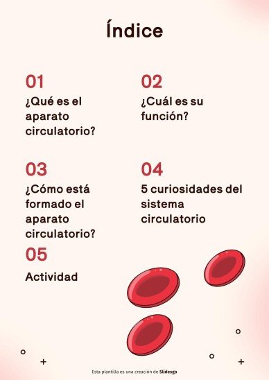 Plantilla de presentación El sistema circulatorio