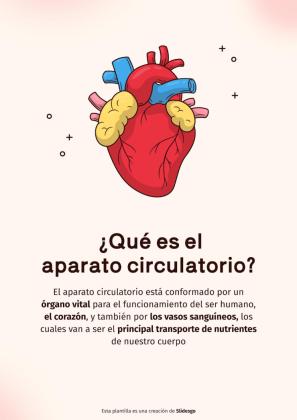 Plantilla de presentación El sistema circulatorio