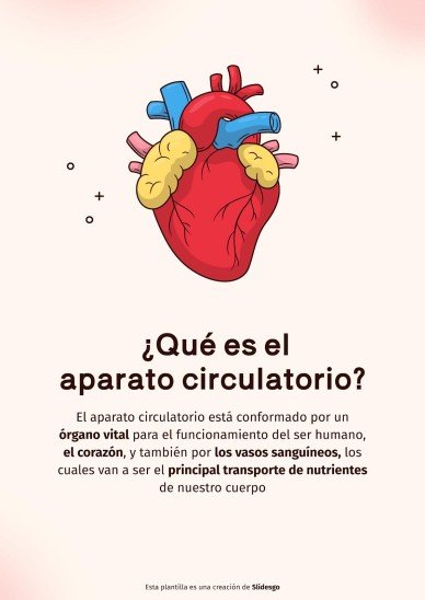 Plantilla de presentación El sistema circulatorio