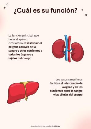Plantilla de presentación El sistema circulatorio