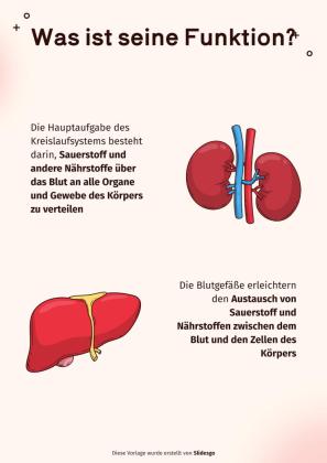 Das Kreislaufsystem Präsentationsvorlage