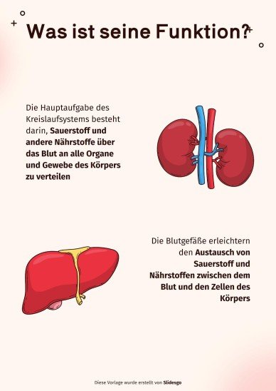 Das Kreislaufsystem Präsentationsvorlage