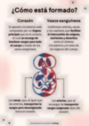 Plantilla de presentación El sistema circulatorio
