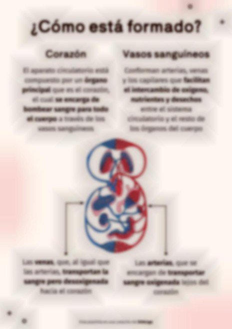 Plantilla de presentación El sistema circulatorio