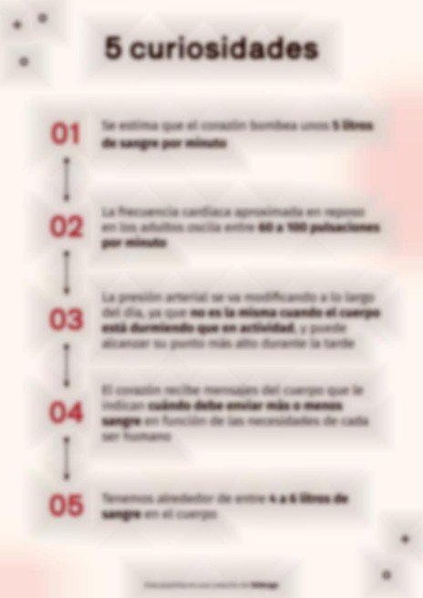 Plantilla de presentación El sistema circulatorio