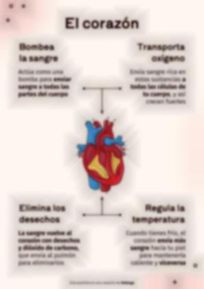 Plantilla de presentación El sistema circulatorio