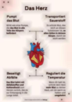 Das Kreislaufsystem Präsentationsvorlage