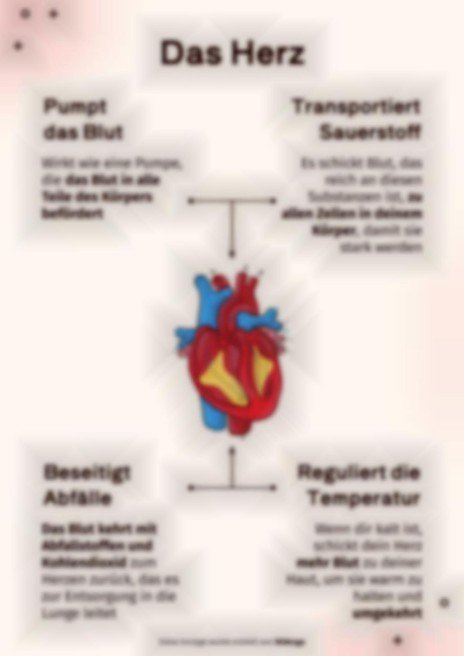 Das Kreislaufsystem Präsentationsvorlage