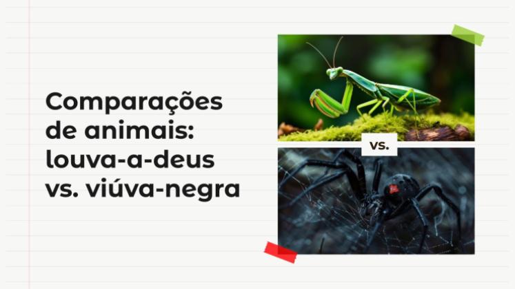 Modelo de apresentação Comparações de animais: Louva-a-deus vs. Aranha Viúva Negra