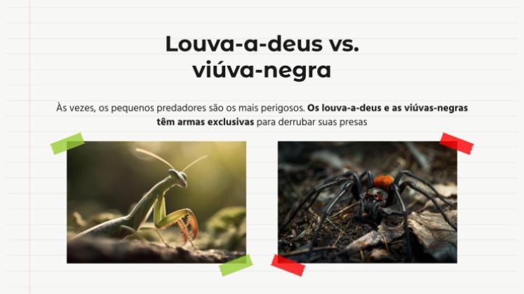 Modelo de apresentação Comparações de animais: Louva-a-deus vs. Aranha Viúva Negra