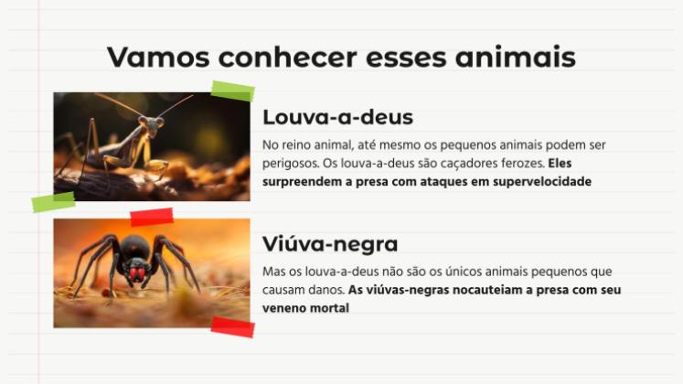 Modelo de apresentação Comparações de animais: Louva-a-deus vs. Aranha Viúva Negra