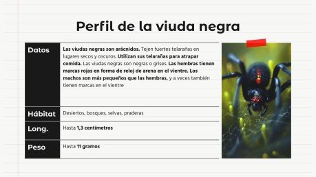 Plantilla de presentación Comparaciones de animales: mantis religiosa vs. araña viuda negra