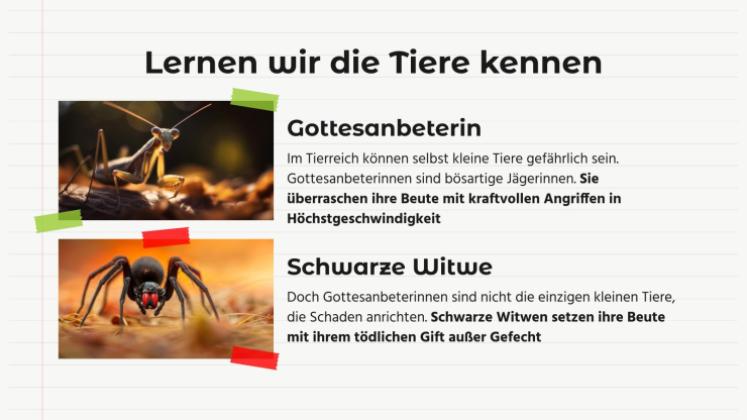Tiervergleiche: Gottesanbeterin vs. Schwarze Witwe Präsentationsvorlage
