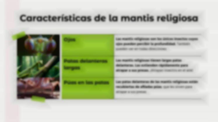 Plantilla de presentación Comparaciones de animales: mantis religiosa vs. araña viuda negra
