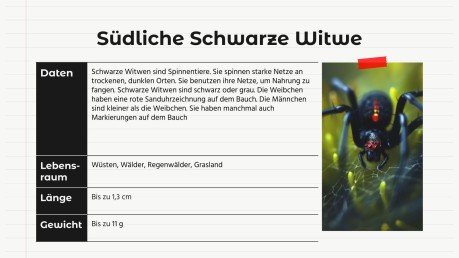 Tiervergleiche: Gottesanbeterin vs. Schwarze Witwe Präsentationsvorlage