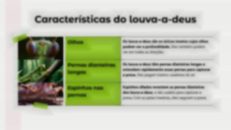 Modelo de apresentação Comparações de animais: Louva-a-deus vs. Aranha Viúva Negra