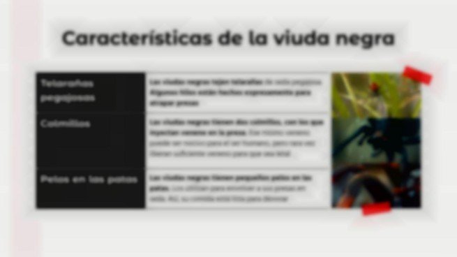 Plantilla de presentación Comparaciones de animales: mantis religiosa vs. araña viuda negra