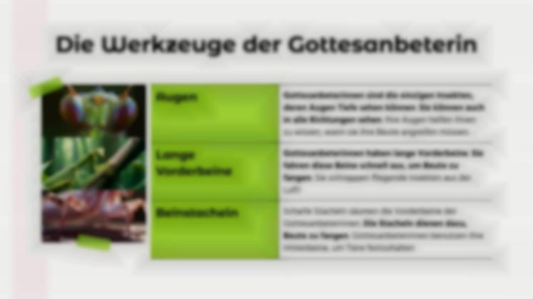 Tiervergleiche: Gottesanbeterin vs. Schwarze Witwe Präsentationsvorlage