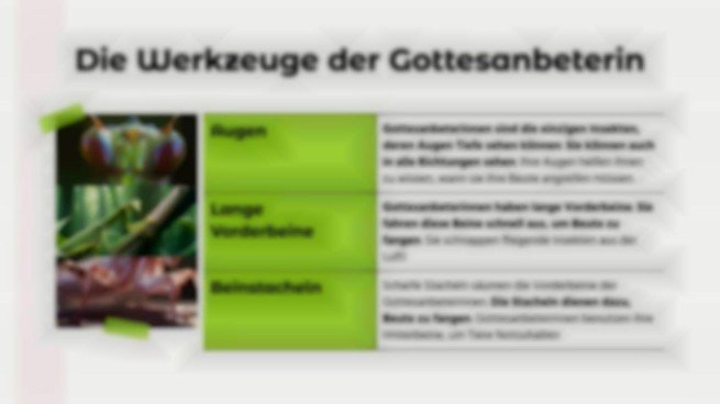 Tiervergleiche: Gottesanbeterin vs. Schwarze Witwe Präsentationsvorlage