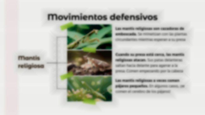 Plantilla de presentación Comparaciones de animales: mantis religiosa vs. araña viuda negra
