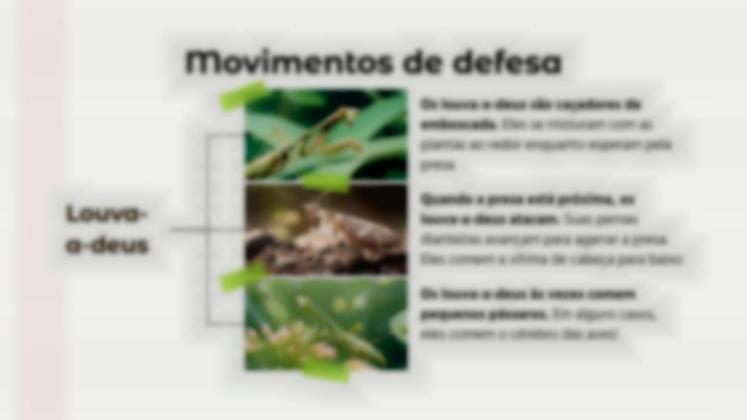 Modelo de apresentação Comparações de animais: Louva-a-deus vs. Aranha Viúva Negra