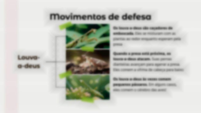 Modelo de apresentação Comparações de animais: Louva-a-deus vs. Aranha Viúva Negra