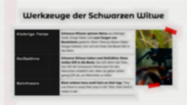 Tiervergleiche: Gottesanbeterin vs. Schwarze Witwe Präsentationsvorlage