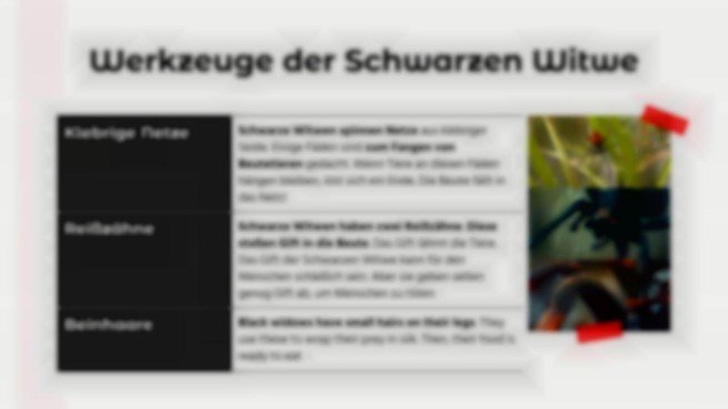 Tiervergleiche: Gottesanbeterin vs. Schwarze Witwe Präsentationsvorlage