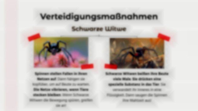 Tiervergleiche: Gottesanbeterin vs. Schwarze Witwe Präsentationsvorlage