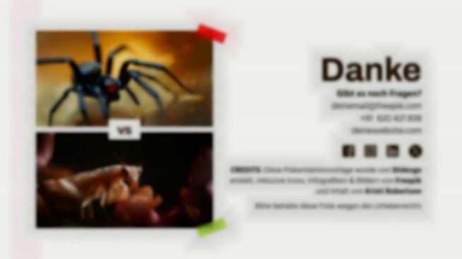 Tiervergleiche: Gottesanbeterin vs. Schwarze Witwe Präsentationsvorlage