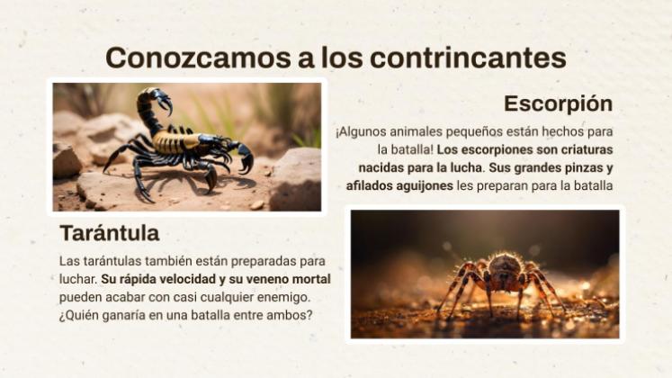 Plantilla de presentación Escorpión contra Tarántula