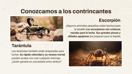 Plantilla de presentación Escorpión contra Tarántula