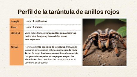 Plantilla de presentación Escorpión contra Tarántula
